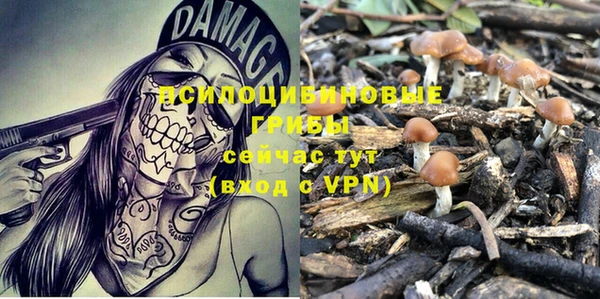 героин Бородино