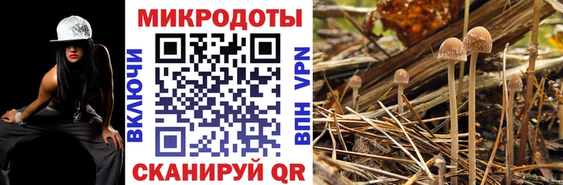 сколько стоит  Кущёвская  Галлюциногенные грибы MAGIC MUSHROOMS 