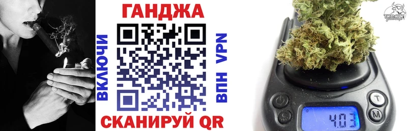 Каннабис конопля  Кущёвская 